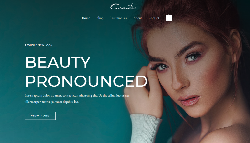 portfolio 7 1024x587.png